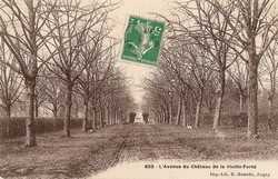 L'Avenue du Chteau de la Vieille-Fert