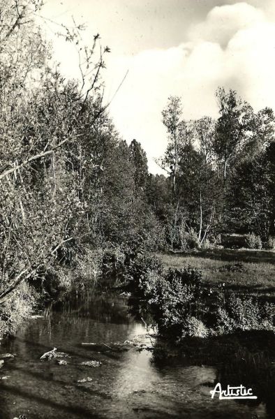 La Fert-Loupire - Bords du Vrin