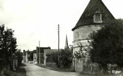 La Fert-Loupire - Route d'Aillant