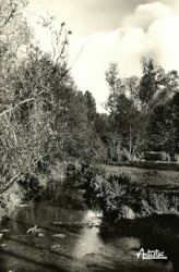 La Fert-Loupire - Bords du Vrin