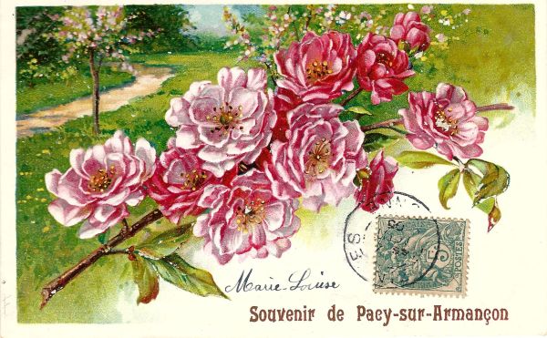 Souvenir de Pacy-sur-Armanon